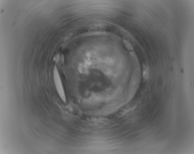 X0000075900819200610062115