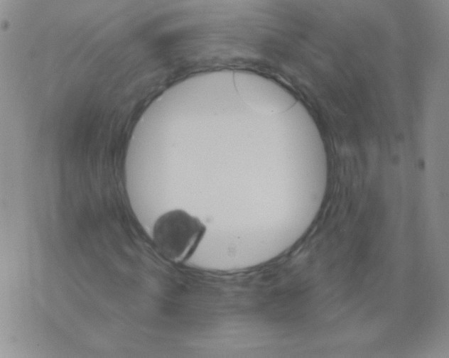 X0000075900820200610062115