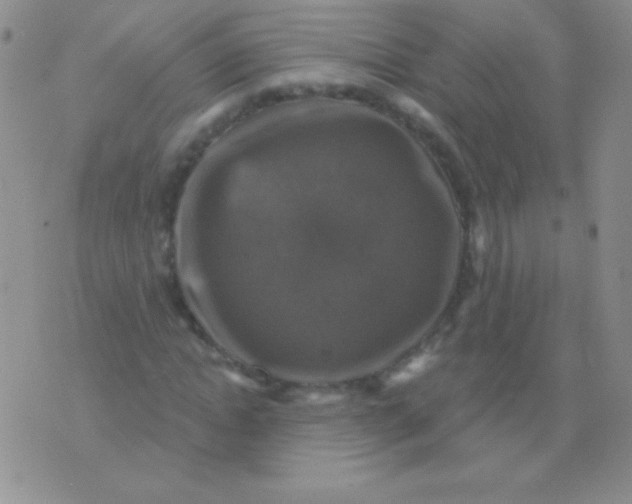 X0000075900822200610062115