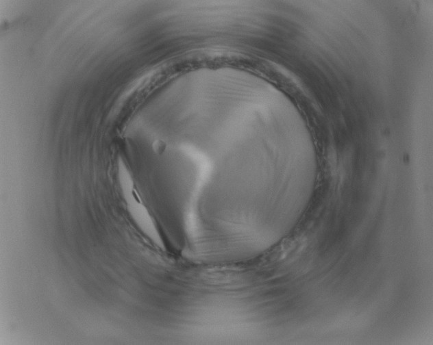 X0000075900823200610062115