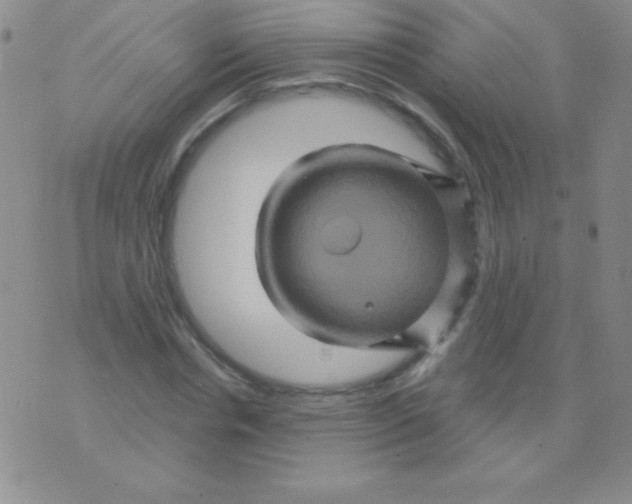 X0000075900826200610062115