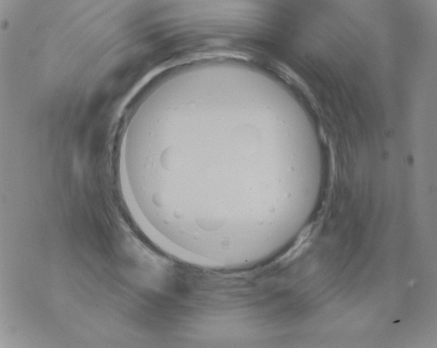 X0000075900828200610062115