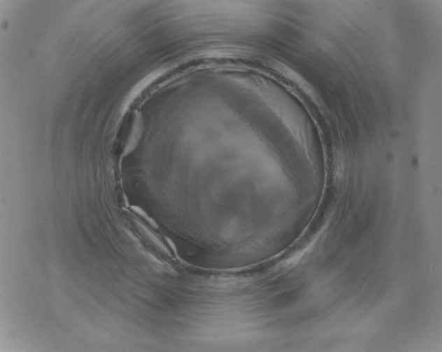 X0000075900829200610062115