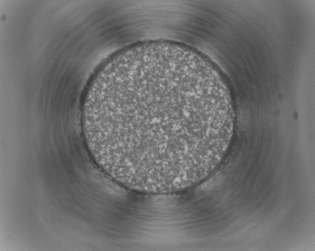 X0000075900832200610062115