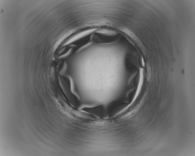 X0000075900834200610062116