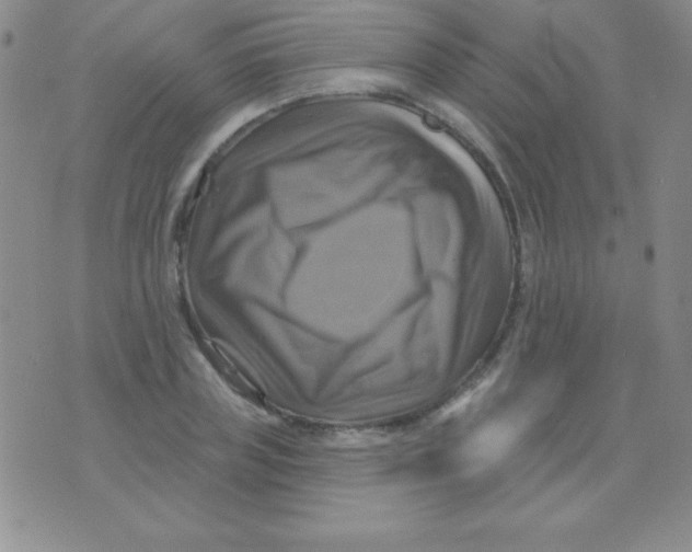 X0000075900835200610062116