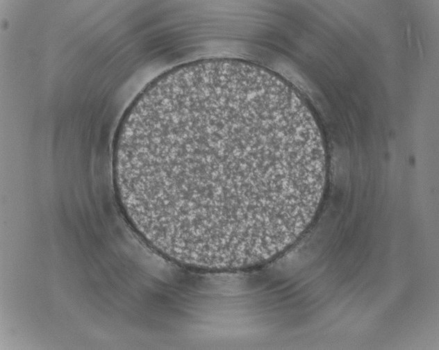 X0000075900836200610062116