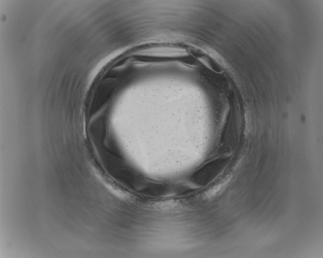 X0000075900838200610062116