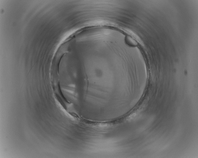 X0000075900839200610062116