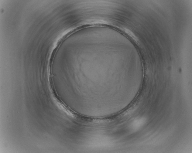 X0000075900840200610062116