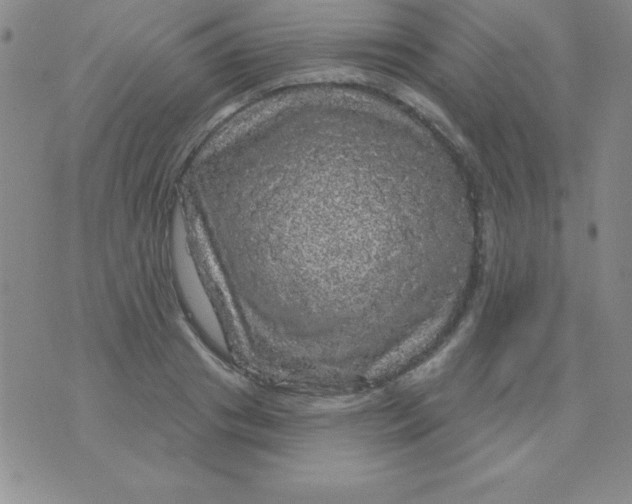 X0000075900841200610062116