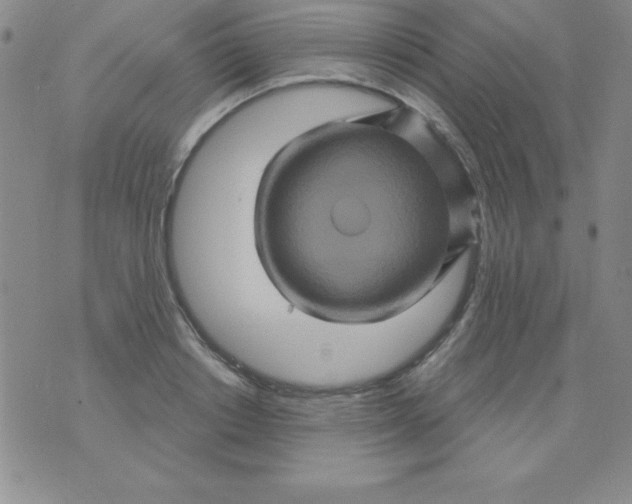 X0000075900842200610062116