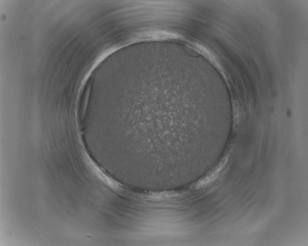 X0000075900843200610062116