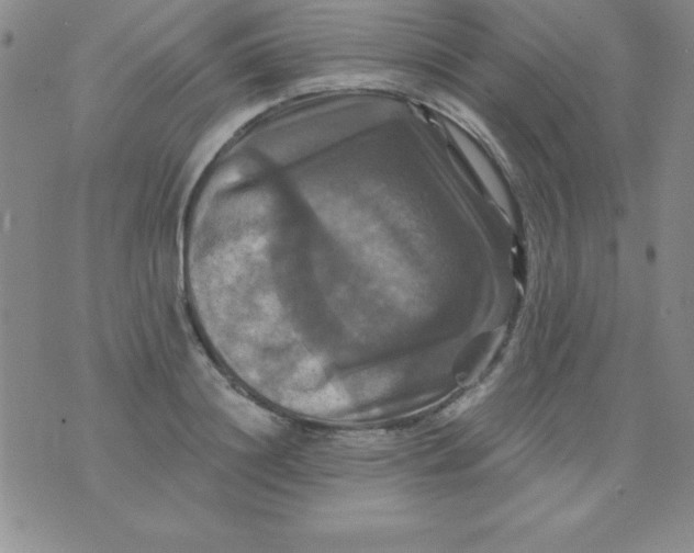 X0000075900844200610062116