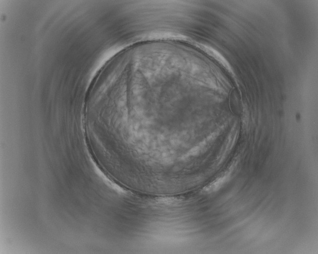 X0000075900847200610062116