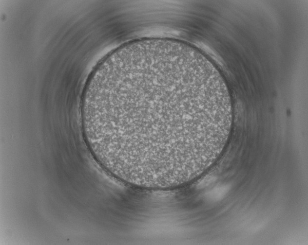 X0000075900848200610062116