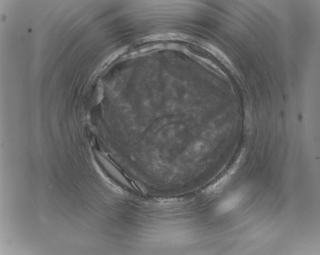 X0000075900849200610062116