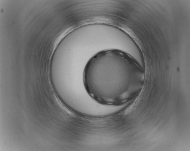 X0000075900850200610062116