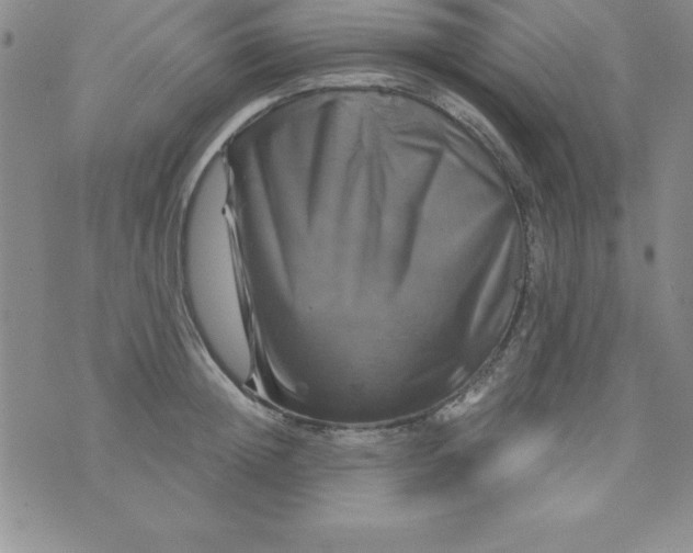 X0000075900852200610062116