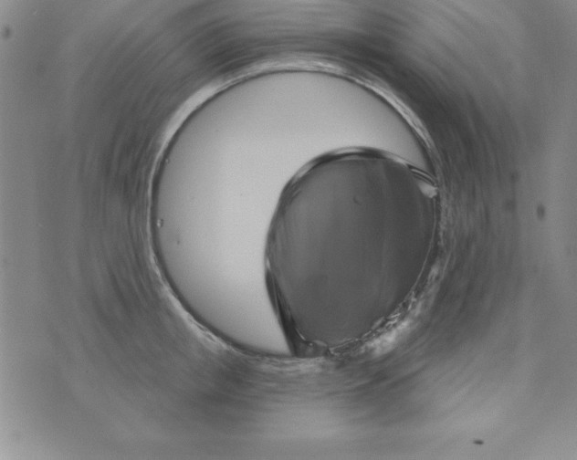 X0000075900853200610062116