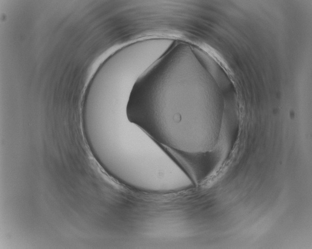 X0000075900854200610062116