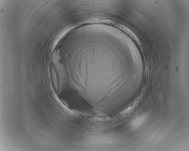 X0000075900855200610062116