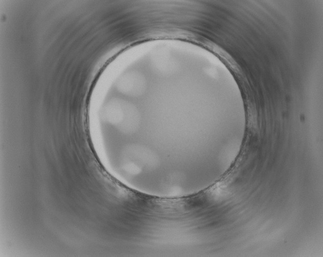 X0000075900856200610062116