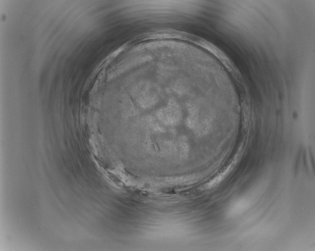 X0000075900857200610062116