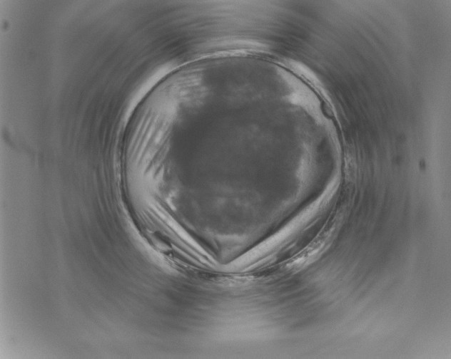 X0000075900859200610062116