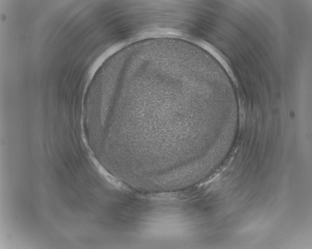 X0000075900861200610062116