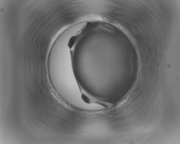 X0000075900864200610062116