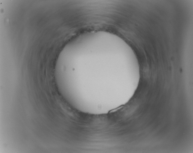 X0000075900865200610062115