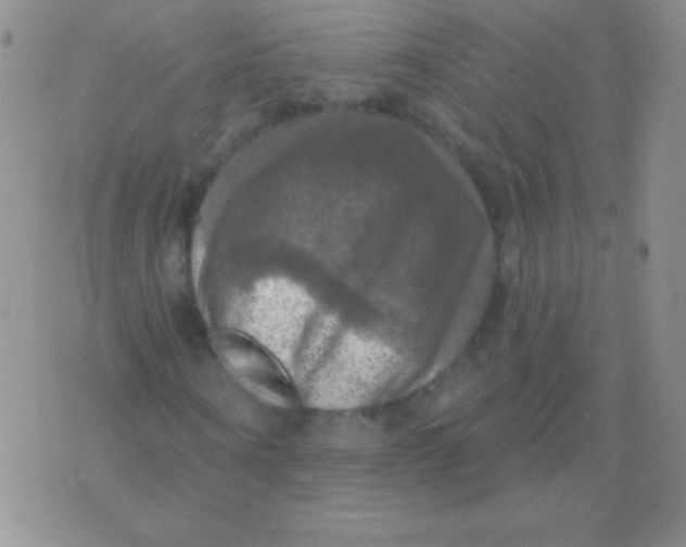 X0000075900866200610062115