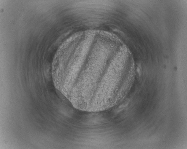 X0000075900867200610062115