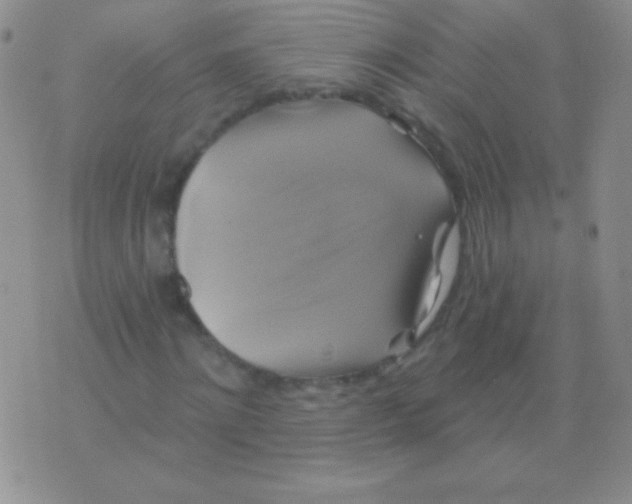 X0000075900868200610062115