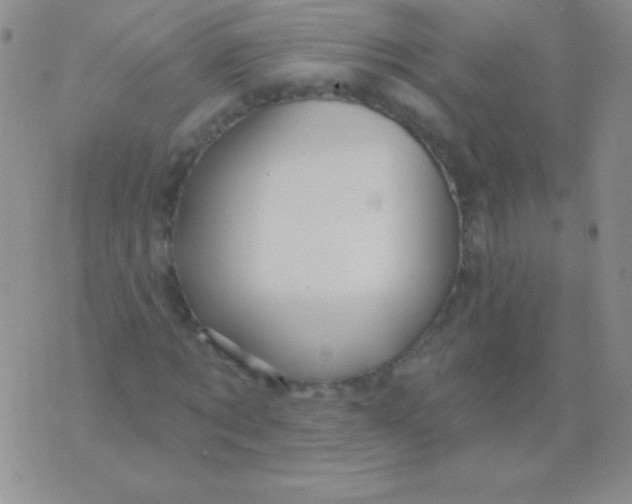 X0000075900869200610062115