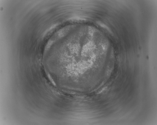 X0000075900870200610062115