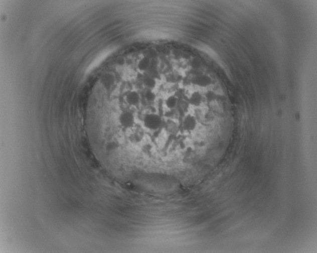 X0000075900871200610062115