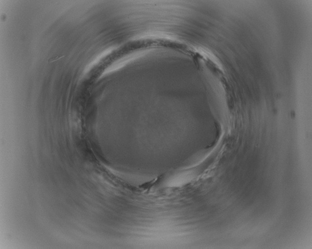 X0000075900872200610062115