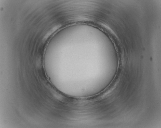 X0000075900873200610062115