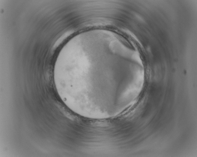 X0000075900874200610062115