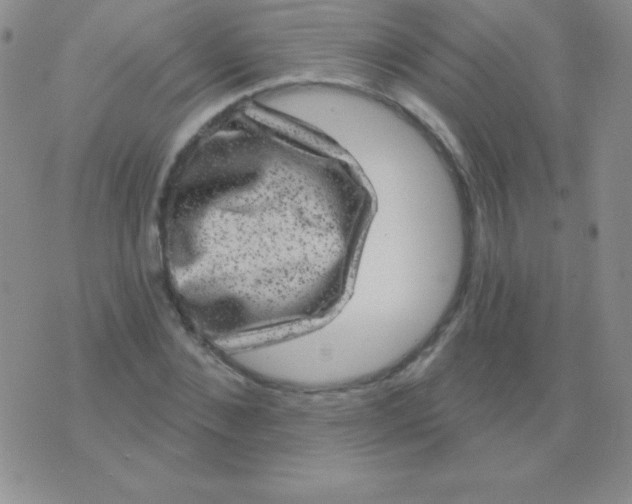 X0000075900876200610062115