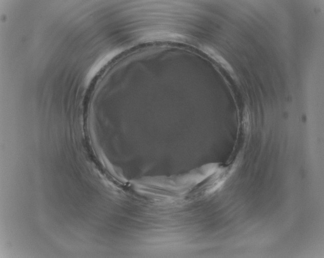 X0000075900877200610062115