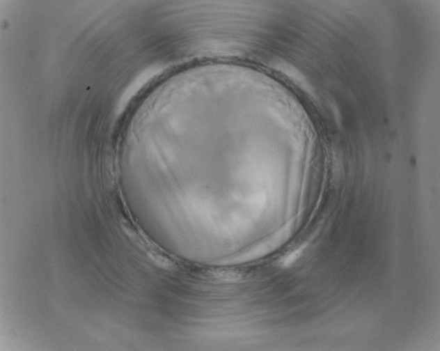 X0000075900878200610062115