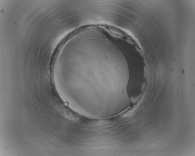 X0000075900879200610062115