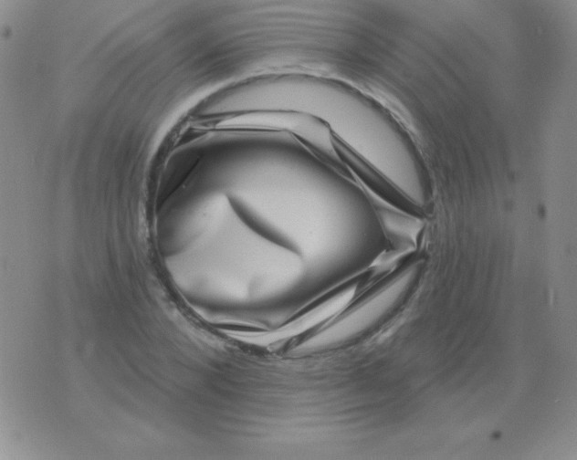 X0000075900880200610062115