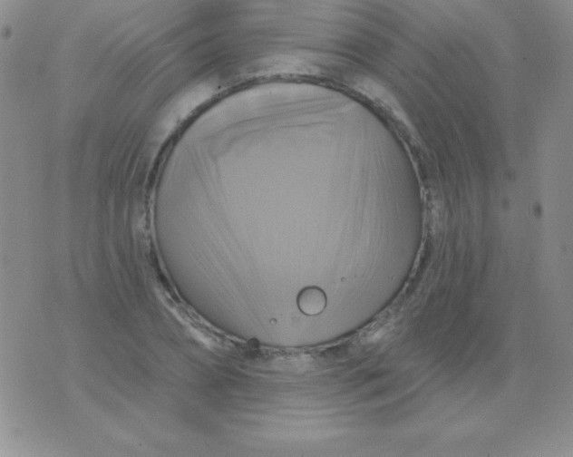 X0000075900882200610062115