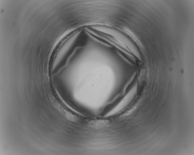 X0000075900884200610062115