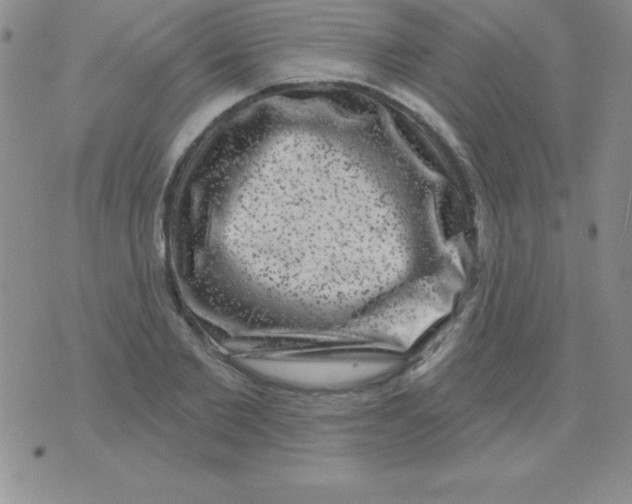 X0000075900885200610062115