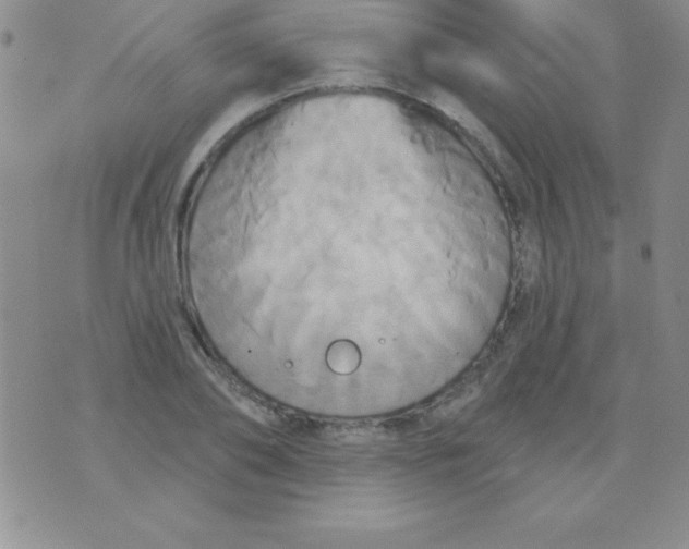 X0000075900886200610062115